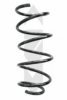 SPIDAN 86781 Coil Spring